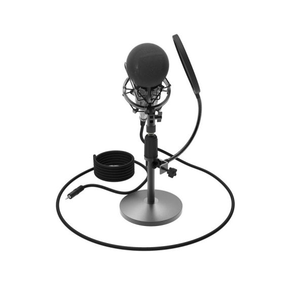 Микрофон Ritmix rdm-175 черный